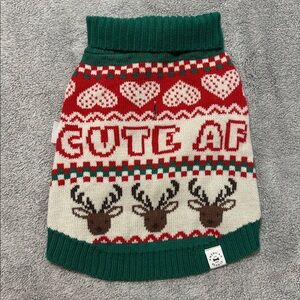 American Eagle Outfitters Festive Green and Red Dog Sweater